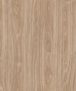 Nordic Walnut