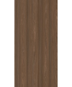 Salvador Oak