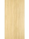 Primeval Oak